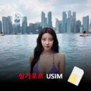 [유심칩] 싱가포르 유심 USIM 데이터 매일 무제한 이심통 | 무료배송