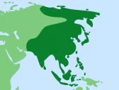 Mega Menu Image1000345