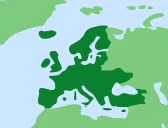 Mega Menu Image1000349