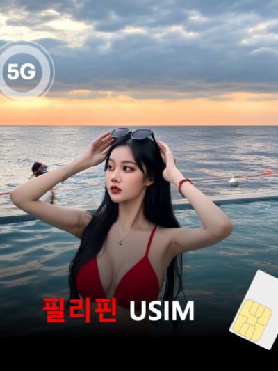[유심칩] 필리핀 유심 USIM 데이터 매일 무제한 이심통 | 무료배송