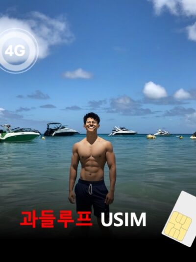 [유심칩] 과들루프 유심 USIM 데이터 전용 매일 무제한 이심통 | 무료배송 | 당일발송
