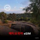 에티오피아 이심 eSIM 데이터 전용 종량제 2GByte 유효기간 15일 | 자동발권 | 바로사용