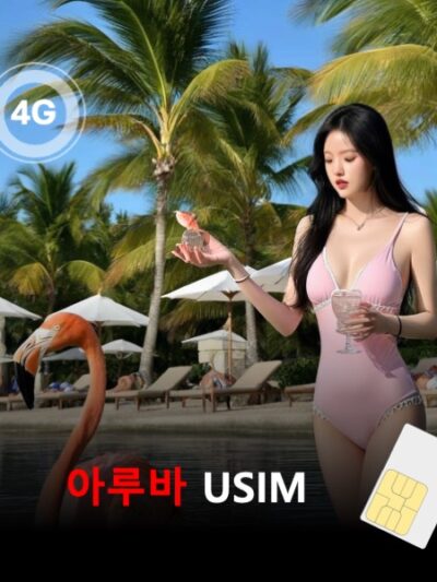 [유심칩] 아루바 유심 USIM 데이터 전용 매일 무제한 이심통 | 무료배송 | 당일발송