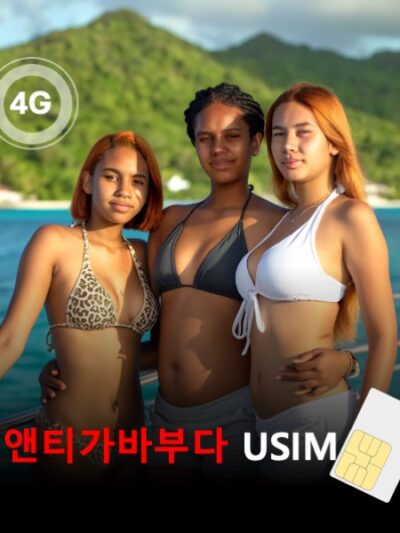 [유심칩] 앤티가바부다 유심 USIM 데이터 전용 매일 무제한 이심통 | 무료배송 | 당일발송