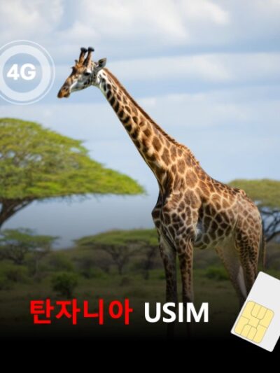 [유심칩] 탄자니아 유심 USIM 데이터 전용 매일 무제한 이심통 | 무료배송 | 당일발송