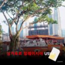 [유심칩] 싱가포르 말레이시아 통합 여행 유심 USIM 5G 데이터 무제한 | 동남아 2개국 유심 | 당일발송 무료배송 | 이심통
