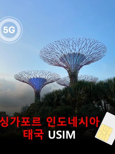 [유심칩] 싱가포르·태국·인도네시아 통합 여행 유심 USIM 5G 데이터 무제한 | 동남아 3개국 유심 | 당일발송 무료배송 | 이심통